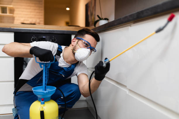 Best Best Pest Control Companies  in Bethel Island, CA