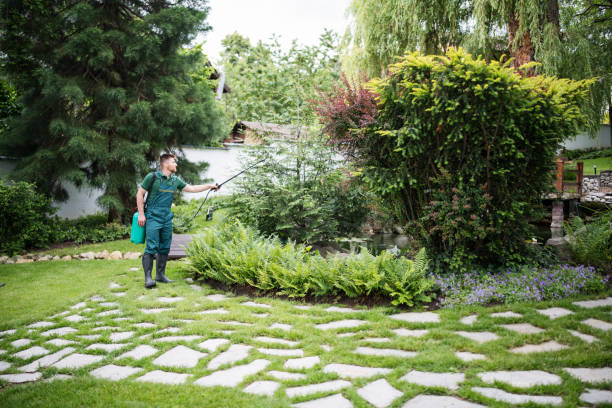 Best Affordable Pest Control Services  in Bethel Island, CA