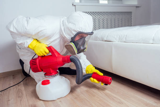 Trusted Bethel Island, CA Pest Control Experts