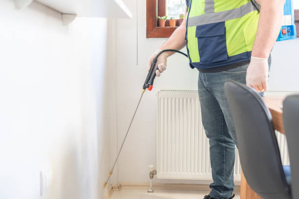 Best Pest Removal Services  in Bethel Island, CA
