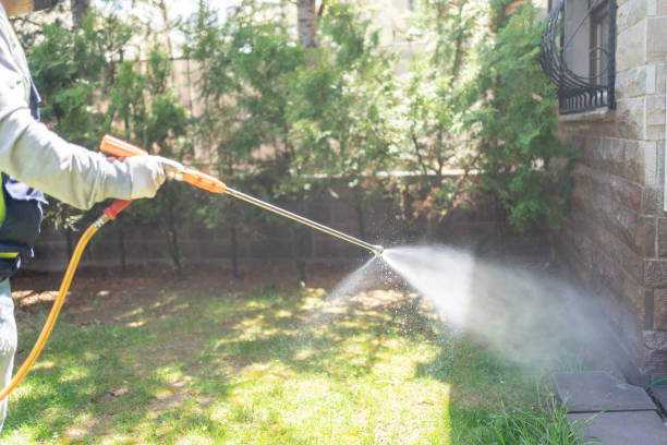 Best Pest Prevention Services  in Bethel Island, CA