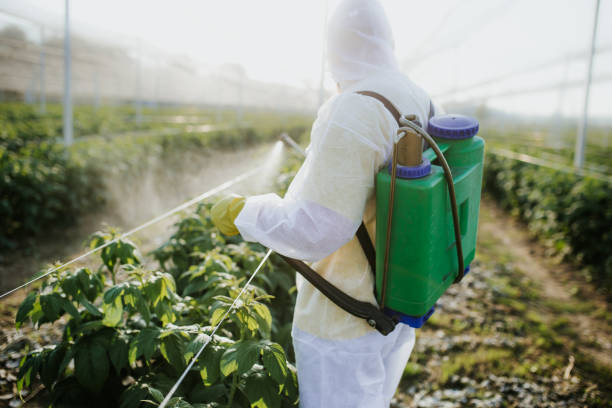 Best Pest Control Treatment  in Bethel Island, CA
